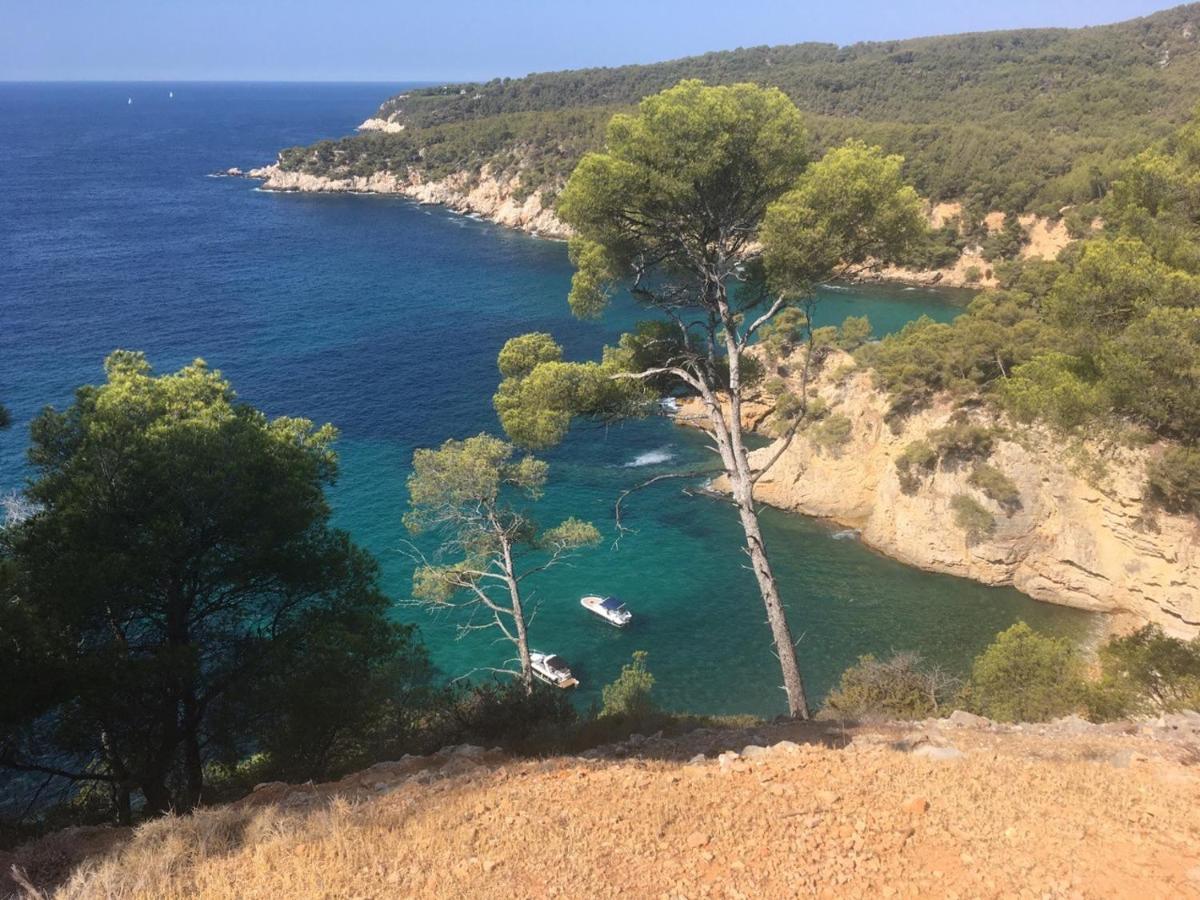 Sanary Sur Mer Appartement 30M2 T2 Avec Terrasse Piscine 10Min A Pied De La Plage Εξωτερικό φωτογραφία