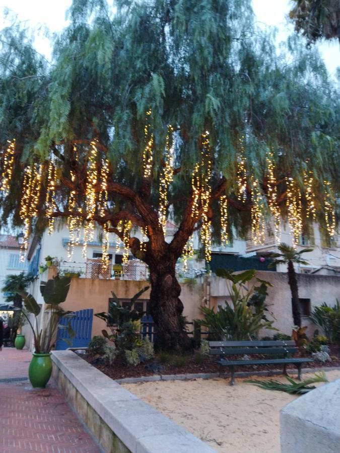 Sanary Sur Mer Appartement 30M2 T2 Avec Terrasse Piscine 10Min A Pied De La Plage Εξωτερικό φωτογραφία